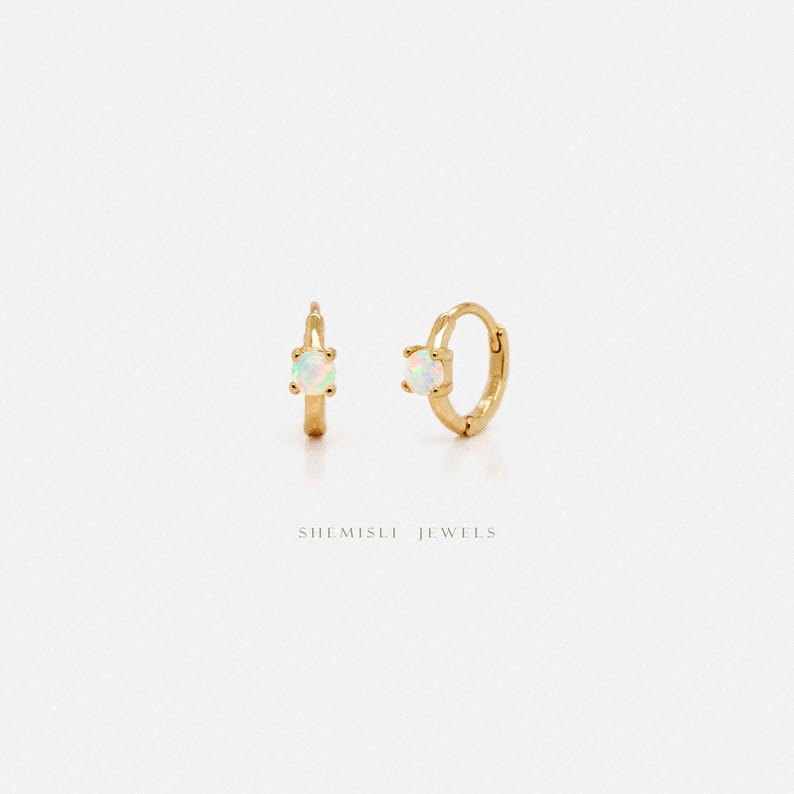 Tiny CZ Helix Hoop Earring