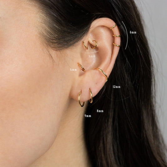 Titanium Hoop Earring or Nose Ring